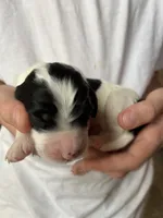 processed/61fb542d-2518-481d-8aa1-bffa78d528b6/listing/48738ad4-0ffb-48c5-8cc6-40f9570aa8cb/b7a8df33-ae1d-4e45-8b5e-a57896a82f5b