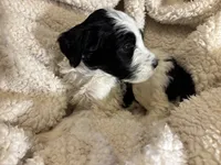 processed/61fb542d-2518-481d-8aa1-bffa78d528b6/listing/48738ad4-0ffb-48c5-8cc6-40f9570aa8cb/b819ff18-671f-4206-920f-60dce114c0af