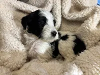 processed/61fb542d-2518-481d-8aa1-bffa78d528b6/listing/48738ad4-0ffb-48c5-8cc6-40f9570aa8cb/e7a98bd5-a2c0-4ec7-8509-a4cca3882c0b