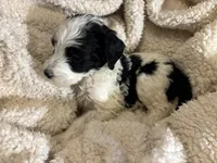 processed/61fb542d-2518-481d-8aa1-bffa78d528b6/listing/48738ad4-0ffb-48c5-8cc6-40f9570aa8cb/f26ecd3f-78fd-4afc-98d9-6386dc071f8f