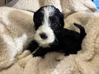 processed/61fb542d-2518-481d-8aa1-bffa78d528b6/listing/afedc8b7-8c0d-46ce-975f-c22eb754d826/46b4611c-38c3-4dd4-81c5-d0bef163fbc5