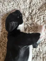 processed/61fb542d-2518-481d-8aa1-bffa78d528b6/listing/afedc8b7-8c0d-46ce-975f-c22eb754d826/62a4f1e3-23ef-4fee-8241-0475da72636d