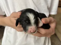 processed/61fb542d-2518-481d-8aa1-bffa78d528b6/listing/afedc8b7-8c0d-46ce-975f-c22eb754d826/719ca83f-87f7-4a35-85e6-c5cc283c80d0