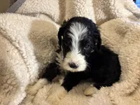 processed/61fb542d-2518-481d-8aa1-bffa78d528b6/listing/afedc8b7-8c0d-46ce-975f-c22eb754d826/a66b7bea-f115-4b0b-8161-5499bc8cc637