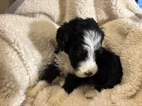 processed/61fb542d-2518-481d-8aa1-bffa78d528b6/listing/afedc8b7-8c0d-46ce-975f-c22eb754d826/e5a0d554-793c-47ea-8a69-f836014c38ff