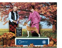 processed/61fbfac5-2ddc-4a8e-80df-994b8dd4f565/facility/2320f38f-30c3-47ad-be0e-9669adec96fb