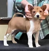 processed/61fbfac5-2ddc-4a8e-80df-994b8dd4f565/listing/df78aef5-786b-45f6-8485-d51f85ace8cb/783e482c-16e4-49e7-a2e2-03e485c8786c