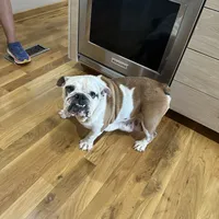 processed/62013632-c2cf-495a-a7c6-036b3337fa85/facility/0d23c861-0845-4e0d-9e2e-f37e1e80b117