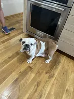 processed/62013632-c2cf-495a-a7c6-036b3337fa85/facility/0d23c861-0845-4e0d-9e2e-f37e1e80b117