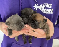 processed/62013632-c2cf-495a-a7c6-036b3337fa85/facility/682464fb-23c1-4a4e-9bdc-2f4c376bfe1d