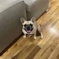 processed/62013632-c2cf-495a-a7c6-036b3337fa85/facility/75d6c156-a0a7-4aad-8100-31f68fb04993