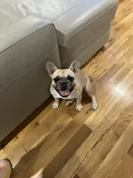 processed/62013632-c2cf-495a-a7c6-036b3337fa85/facility/75d6c156-a0a7-4aad-8100-31f68fb04993