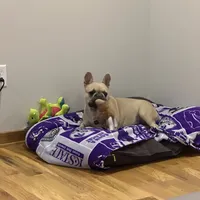 processed/62013632-c2cf-495a-a7c6-036b3337fa85/facility/9b7dd396-5269-49c1-992c-3c257ea4ab7e