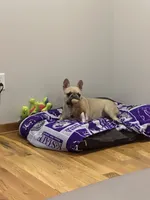 processed/62013632-c2cf-495a-a7c6-036b3337fa85/facility/9b7dd396-5269-49c1-992c-3c257ea4ab7e