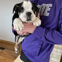 processed/62013632-c2cf-495a-a7c6-036b3337fa85/facility/9e1acbb1-3166-4a89-925f-5250dbac2c48