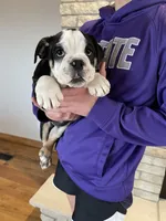 processed/62013632-c2cf-495a-a7c6-036b3337fa85/facility/9e1acbb1-3166-4a89-925f-5250dbac2c48