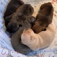 processed/62013632-c2cf-495a-a7c6-036b3337fa85/facility/abaca3b0-be02-4312-be34-ef3cc2fcbbb2