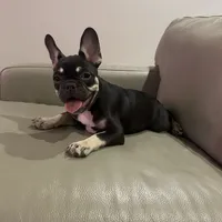 processed/62013632-c2cf-495a-a7c6-036b3337fa85/facility/cbeb2d94-0f97-4941-8986-5a2e3ec3bd20