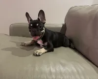 processed/62013632-c2cf-495a-a7c6-036b3337fa85/facility/cbeb2d94-0f97-4941-8986-5a2e3ec3bd20