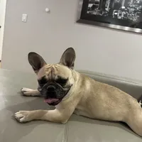 processed/62013632-c2cf-495a-a7c6-036b3337fa85/facility/f21fa6ae-3228-4c20-8da3-2db269542e74