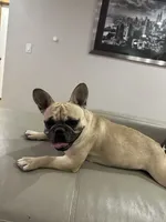 processed/62013632-c2cf-495a-a7c6-036b3337fa85/facility/f21fa6ae-3228-4c20-8da3-2db269542e74