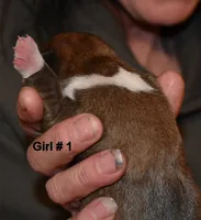 processed/620877d0-b66d-4187-99b3-5a7f17152e8a/listing/423f9aed-5eef-48ac-9fbf-c264dd7b0f1a/8918cf7a-5e25-4b22-953a-67e968627a16