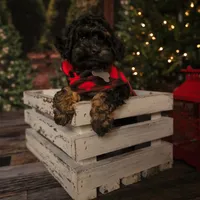 processed/620c4a97-0f0d-45f8-87e2-21e98f358861/facility/d6ab4640-ab2a-4e76-954e-b34b61e272aa