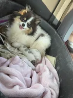 processed/621509a7-f76d-42f0-ac6f-62b18e88331e/facility/f9b794ca-b6af-4f2d-b3f7-e3017f869374