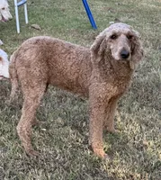 processed/621509a7-f76d-42f0-ac6f-62b18e88331e/listing/053b5e23-9ef3-4c51-8285-631ec32f4bc0/83de817d-be35-4d35-bdae-d7a99393a910