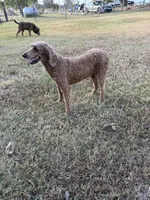 processed/621509a7-f76d-42f0-ac6f-62b18e88331e/listing/053b5e23-9ef3-4c51-8285-631ec32f4bc0/922e1560-15de-4266-95f4-5916a06793ae