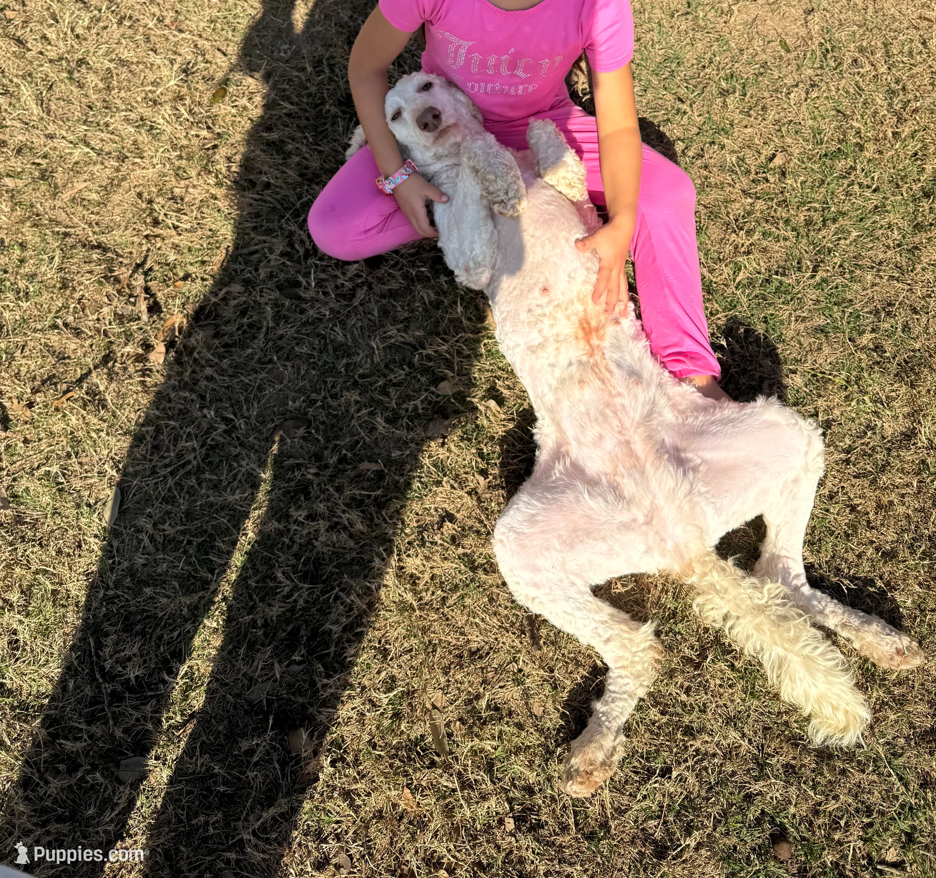 processed/621509a7-f76d-42f0-ac6f-62b18e88331e/listing/053b5e23-9ef3-4c51-8285-631ec32f4bc0/9b00564a-1e94-4fb1-ba17-fced3b98fcc4