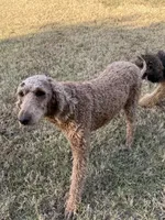 processed/621509a7-f76d-42f0-ac6f-62b18e88331e/listing/053b5e23-9ef3-4c51-8285-631ec32f4bc0/d54aeae5-f341-4afe-aabe-7a04e25c7b83