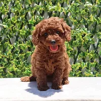 processed/621c8190-0d6e-442b-9833-536ca4f16d54/facility/1f2c5501-31a5-486f-949f-f69607a9a4e2