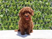 processed/621c8190-0d6e-442b-9833-536ca4f16d54/facility/1f2c5501-31a5-486f-949f-f69607a9a4e2