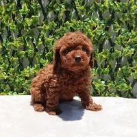 processed/621c8190-0d6e-442b-9833-536ca4f16d54/facility/3fb90d01-143a-4b43-ab5a-e45fd29e59c0