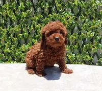 processed/621c8190-0d6e-442b-9833-536ca4f16d54/facility/3fb90d01-143a-4b43-ab5a-e45fd29e59c0