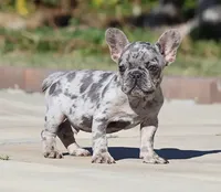 processed/621c8190-0d6e-442b-9833-536ca4f16d54/facility/47faef7b-7bab-44c9-8c20-d30b0afc124a