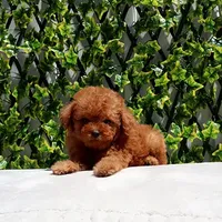 processed/621c8190-0d6e-442b-9833-536ca4f16d54/facility/5e515983-c916-4e83-884b-185196c7d9ab