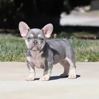 processed/621c8190-0d6e-442b-9833-536ca4f16d54/facility/6c62a001-11ca-44d7-9ea0-d6466d102fe1