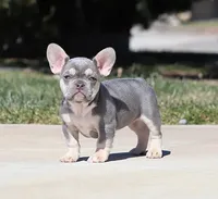 processed/621c8190-0d6e-442b-9833-536ca4f16d54/facility/6c62a001-11ca-44d7-9ea0-d6466d102fe1