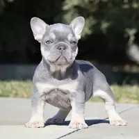 processed/621c8190-0d6e-442b-9833-536ca4f16d54/facility/8fe37e87-0446-45d9-9179-df3329c88db1