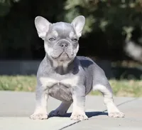 processed/621c8190-0d6e-442b-9833-536ca4f16d54/facility/8fe37e87-0446-45d9-9179-df3329c88db1