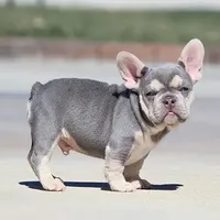 processed/621c8190-0d6e-442b-9833-536ca4f16d54/facility/a0559865-ed5f-469d-8d16-4596b8534bde