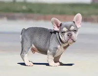 processed/621c8190-0d6e-442b-9833-536ca4f16d54/facility/a0559865-ed5f-469d-8d16-4596b8534bde