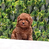 processed/621c8190-0d6e-442b-9833-536ca4f16d54/facility/b71cbfcb-1ee3-412c-a88e-95d6f316ff68