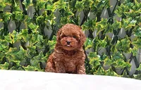 processed/621c8190-0d6e-442b-9833-536ca4f16d54/facility/b71cbfcb-1ee3-412c-a88e-95d6f316ff68