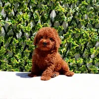 processed/621c8190-0d6e-442b-9833-536ca4f16d54/facility/c70d9079-a4c5-4496-a9f8-08d7607edcb5