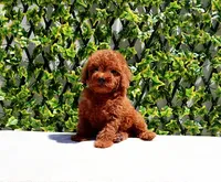 processed/621c8190-0d6e-442b-9833-536ca4f16d54/facility/c70d9079-a4c5-4496-a9f8-08d7607edcb5