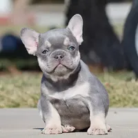 processed/621c8190-0d6e-442b-9833-536ca4f16d54/facility/f3d97289-7136-4d99-8564-ccd3908c1a20