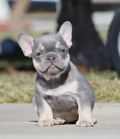 processed/621c8190-0d6e-442b-9833-536ca4f16d54/facility/f3d97289-7136-4d99-8564-ccd3908c1a20